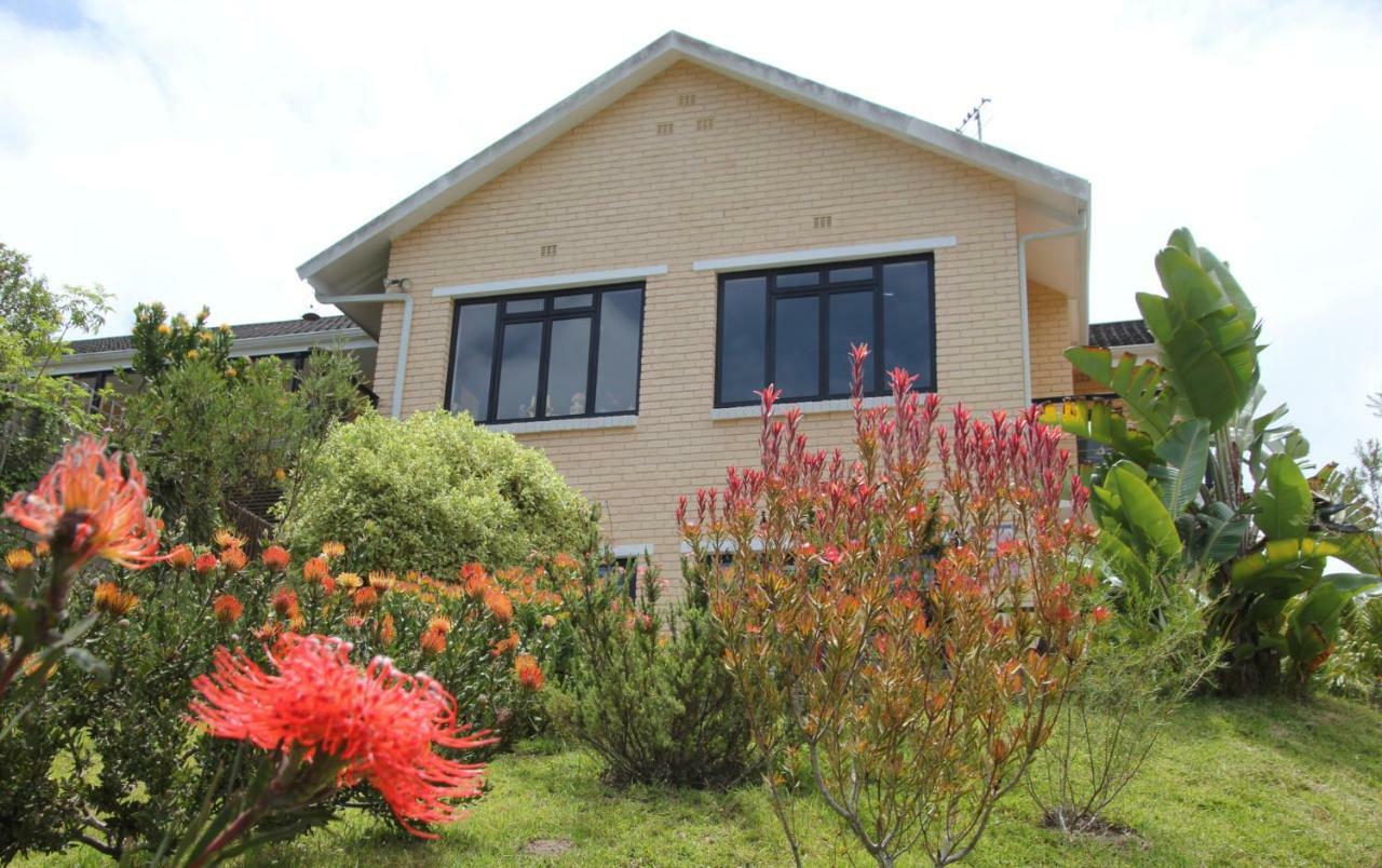 Garden Cottage in Ambiente Guest House Knysna Exteriör bild